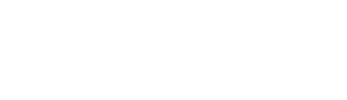 Burst IQ Logo
